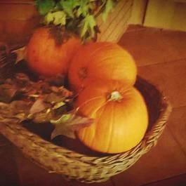 Zichy Park Hotel, Bikács - Egyéb