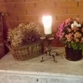 Zichy Park Hotel, Bikács - Egyéb