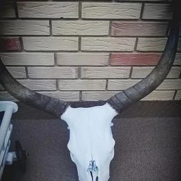 Zichy Park Hotel, Bikács - Belső