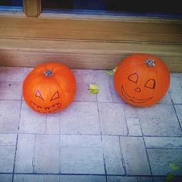 Zichy Park Hotel, Bikács - Belső