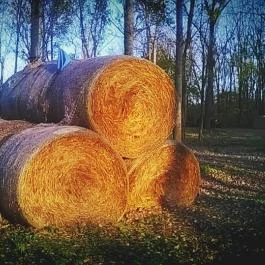 Zichy Park Hotel, Bikács - Egyéb