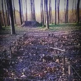 Zichy Park Hotel, Bikács - Környék