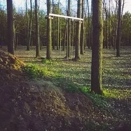 Zichy Park Hotel, Bikács - Medence/kert