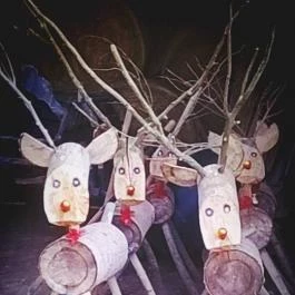 Zichy Park Hotel, Bikács - Medence/kert