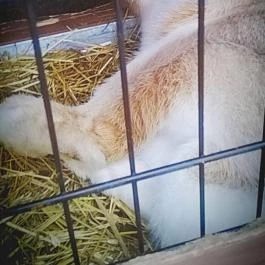 Zichy Park Hotel, Bikács - Egyéb