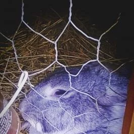 Zichy Park Hotel, Bikács - Egyéb