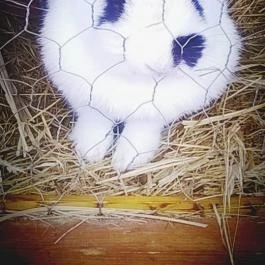 Zichy Park Hotel, Bikács - Egyéb