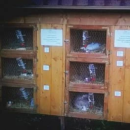 Zichy Park Hotel, Bikács - Egyéb