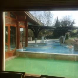 NaturMed Hotel Carbona Hévíz - Medence/kert