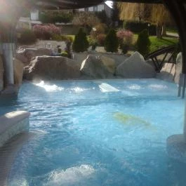 NaturMed Hotel Carbona Hévíz - Medence/kert