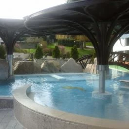 NaturMed Hotel Carbona Hévíz - Medence/kert