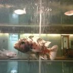 NaturMed Hotel Carbona Hévíz - Belső