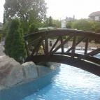 NaturMed Hotel Carbona Hévíz - Medence/kert