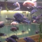 NaturMed Hotel Carbona Hévíz - Belső