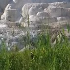 Hunguest Saliris Egerszalók - Környék