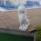 Wellness Hotel Katalin Gyenesdiás - Medence/kert