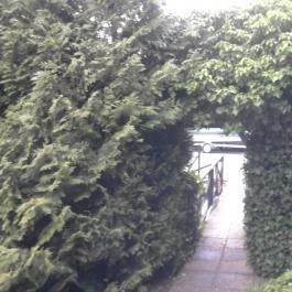 Honti Panzió Visegrád - Környék