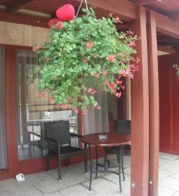 Taverna Étterem és Vendégház