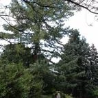 De La Motte kastély Noszvaj - Külső kép