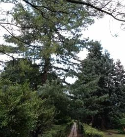 De La Motte kastély