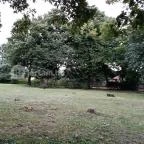 De La Motte kastély Noszvaj - Külső kép