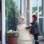 Hunguest Hotel Bál Resort Balatonalmádi - Egyéb