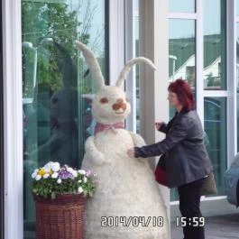 Hunguest Hotel Bál Resort, Balatonalmádi - Egyéb