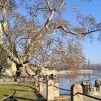 Tatai vár Tata - Egyéb