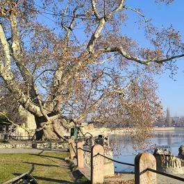 Tatai vár Tata - Egyéb