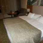 Aranyhomok Hotel Business & Relax Kecskemét - Egyéb