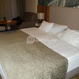 Aranyhomok Business & Wellness Hotel Kecskemét - Egyéb