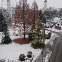 Aranyhomok Business & Wellness Hotel Kecskemét - Egyéb