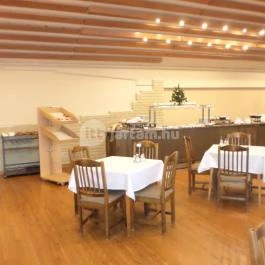 Aranyhomok Business & Wellness Hotel Kecskemét - Egyéb