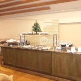 Aranyhomok Business & Wellness Hotel Kecskemét - Egyéb