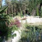 Gosztola Gyöngye-az erdő szállodája Gosztola - Medence/kert