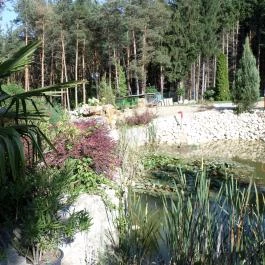 Gosztola Gyöngye-az erdő szállodája Gosztola - Medence/kert