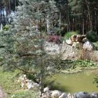 Gosztola Gyöngye-az erdő szállodája Gosztola - Környék