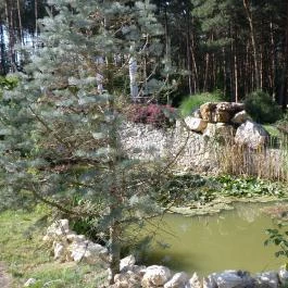 Gosztola Gyöngye-az erdő szállodája Gosztola - Környék