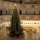 Hotel Írottkő Kőszeg - Egyéb