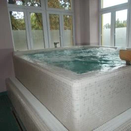 Neptun Badacsony Badacsony - Egyéb