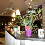 Hotel Termálkristály Aqualand Ráckeve - Belső