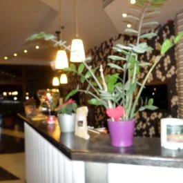 Hotel Termálkristály Aqualand Ráckeve - Belső