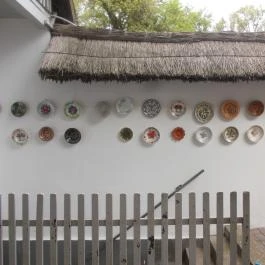 Varga Tanya Hotel, Konferencia & Szabadidő Központ Kerekegyháza - Egyéb