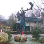 Kecskeméti Vadaskert Kecskemét - Egyéb