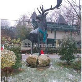 Kecskeméti Vadaskert Kecskemét - Egyéb