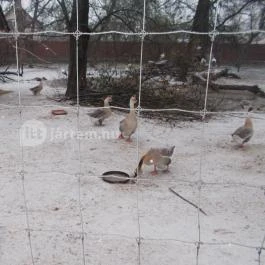 Kecskeméti Vadaskert Kecskemét - Egyéb