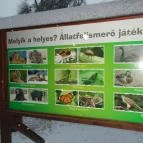 Kecskeméti Vadaskert Kecskemét - Egyéb