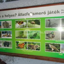 Kecskeméti Vadaskert Kecskemét - Egyéb