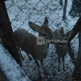 Kecskeméti Vadaskert Kecskemét - Egyéb