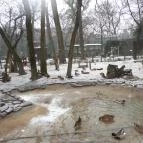 Kecskeméti Vadaskert Kecskemét - Egyéb